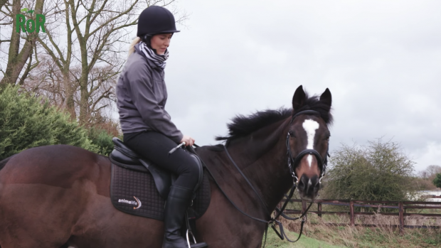 One Pekan Retraining of Racehorses personality award runner-up