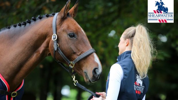 Shearwater-Insurance-Hero-Image