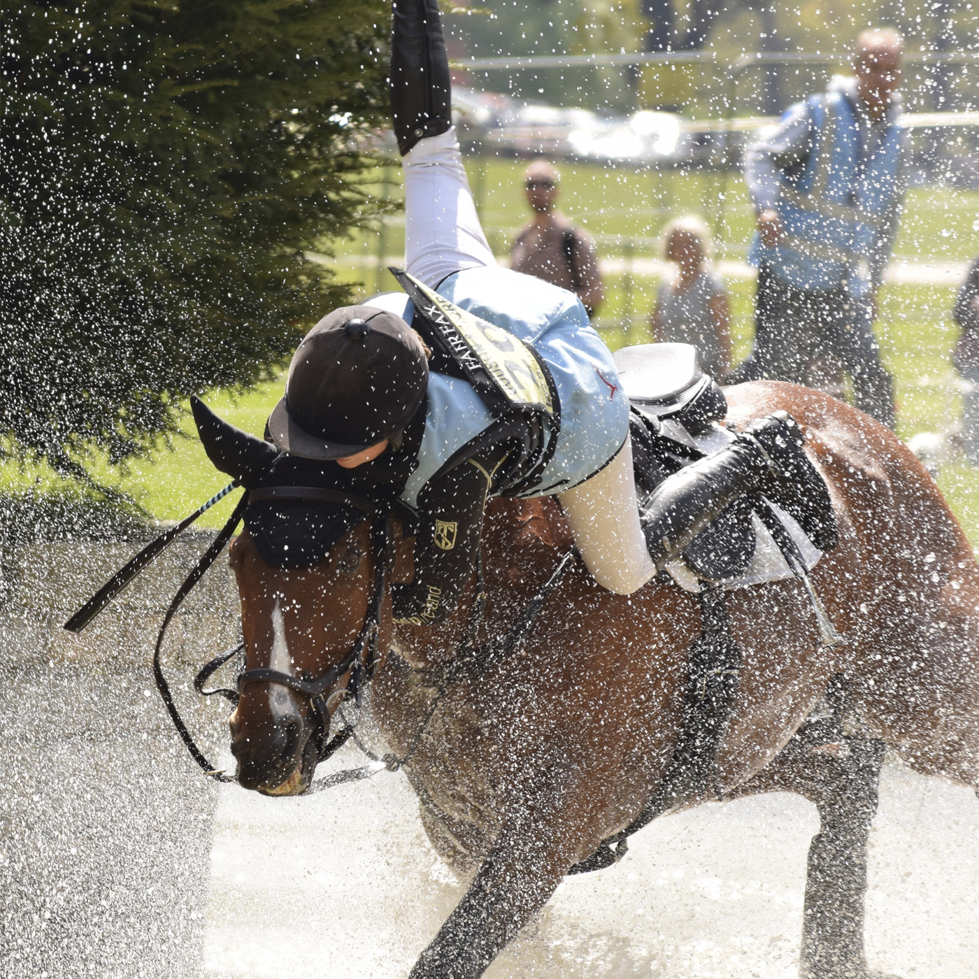 Shearwater-Rider-Falling