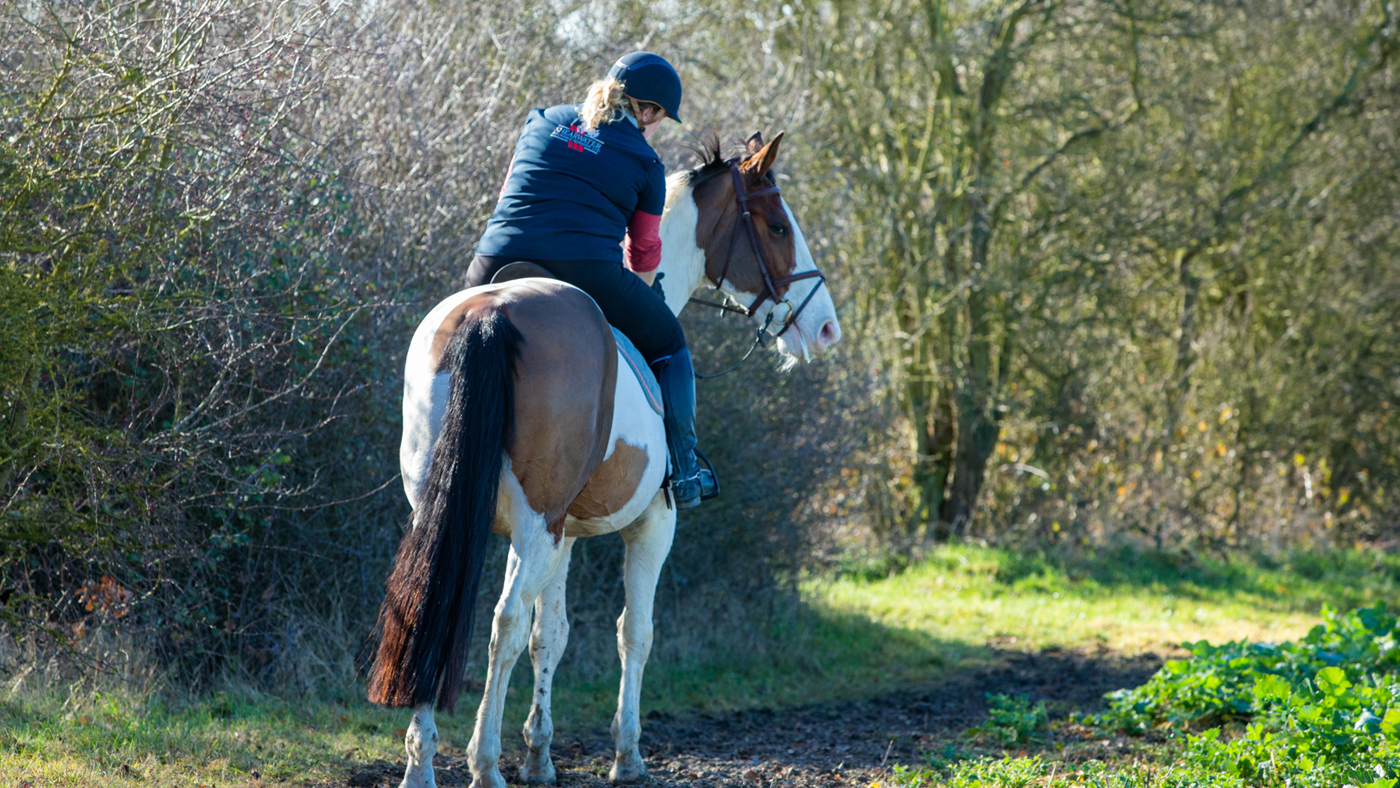 Shearwater-Sarah-Hacking
