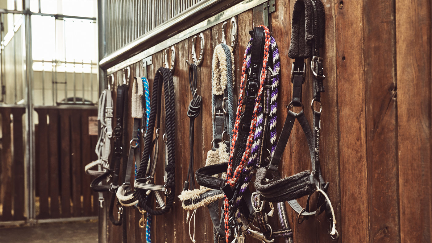 Shearwater-Tack-equestrian-Buildings