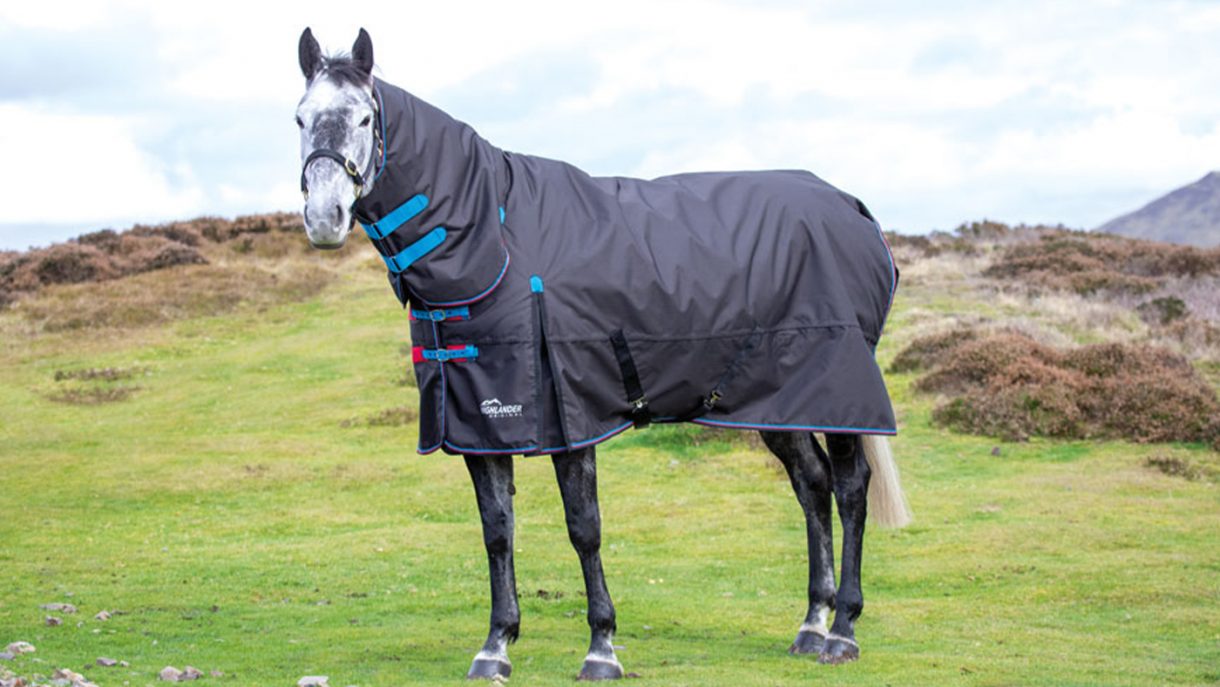 Best medium weight turnout rugs with up to 250g fill Horse & Hound