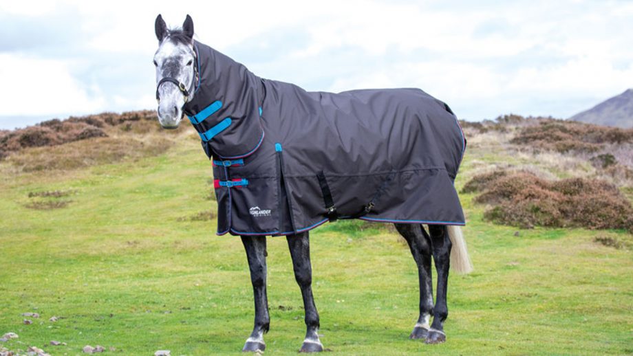 Best medium weight turnout rugs with up to 250g fill Horse & Hound