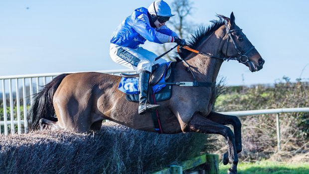 Sir Mangan - Ben Sutton Winners of the JOCKEY CLUB & RETRAINING OF RACEHORSES VETERAN HORSE CONDITIONS 9YO&UP DUNSTON HARRIER Point to Point steeplechasesAT AMPTON, SUFFOLK