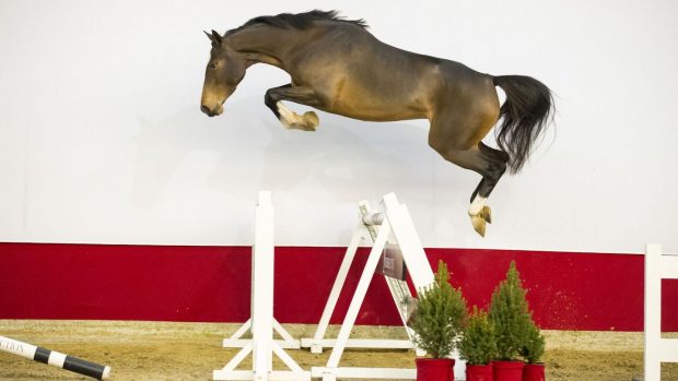 Summer Song Du Champs Du Bois