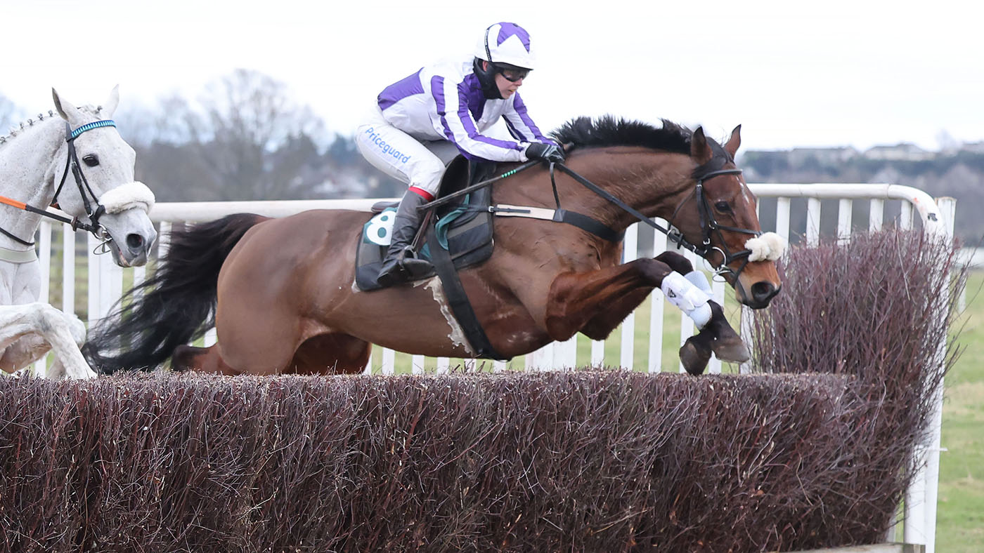 THYNE FOR GOLD and Miss Immy Robinson win the Ladies Open Race at Jedforest Hunt Point-To-Point , Alnwick 22/1/22 GROSSICK PHOTOGRAPHY The Steadings Rockhallhead Collin DG1 4JW 07710461723 www.grossick.co.uk JOHN GROSSICK