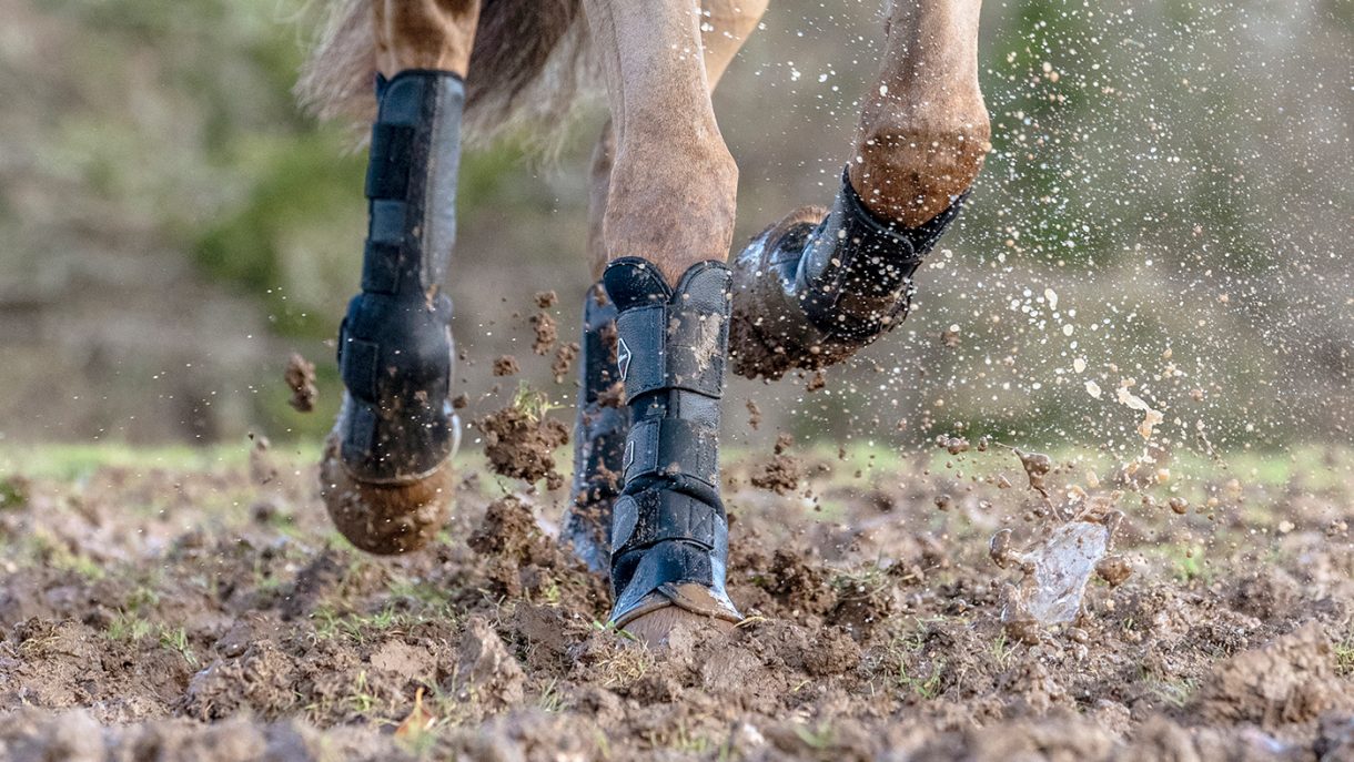 Best turnout boots for horses to protect from wet and mud Horse & Hound