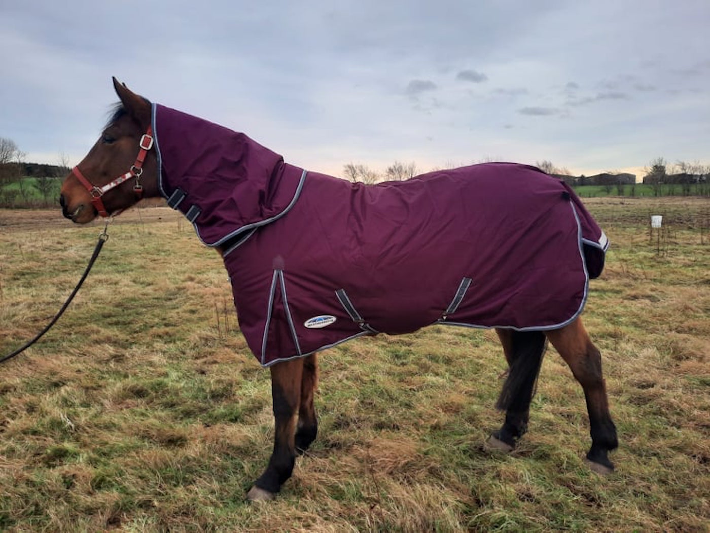 Weatherbeeta ComFiTec Plus Dynamic II
