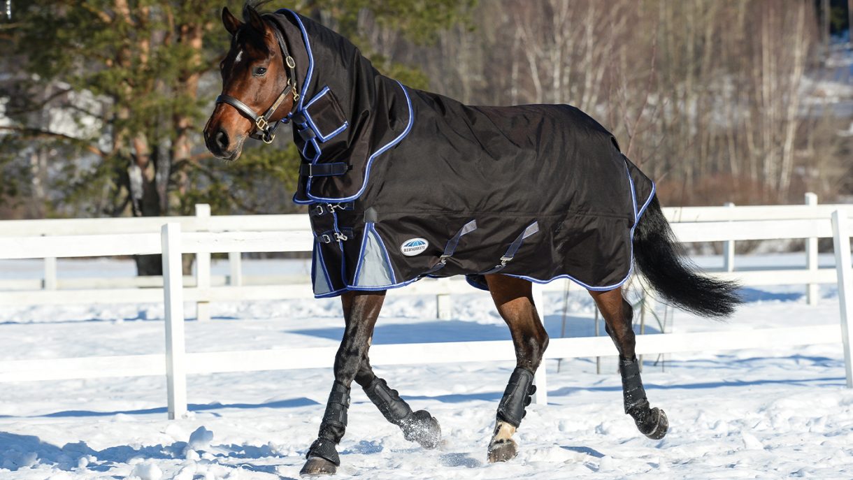 Best medium weight turnout rugs with up to 250g fill Horse & Hound