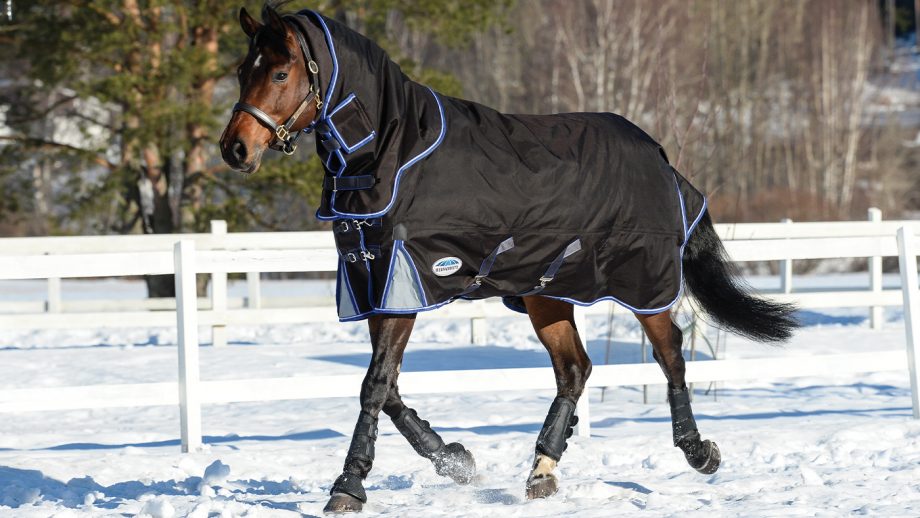Best medium weight turnout rugs with up to 250g fill Horse & Hound