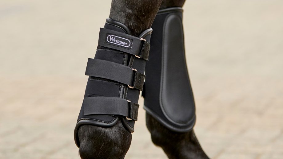 Best brushing boots for all budgets Horse & Hound