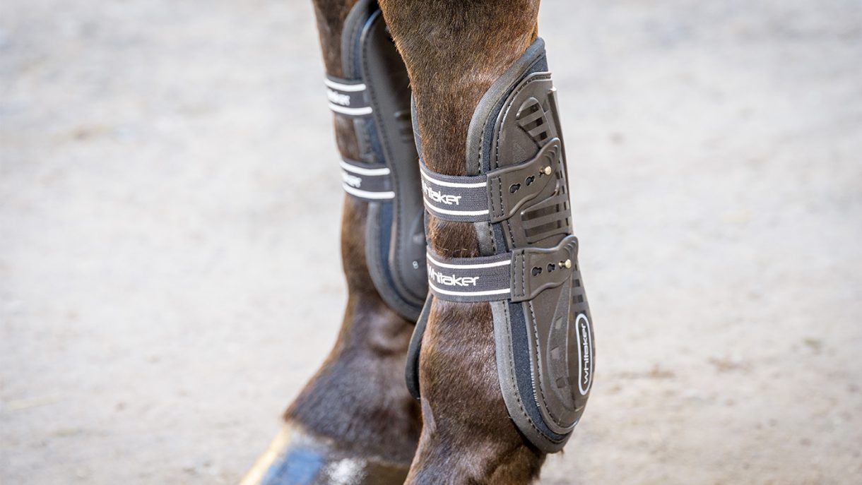 Types of horse boots which one is right for your horse? Horse & Hound