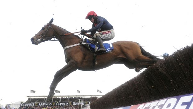 Bobs Worth, the 2013 Cheltenham Gold Cup winner, has died following a field accident