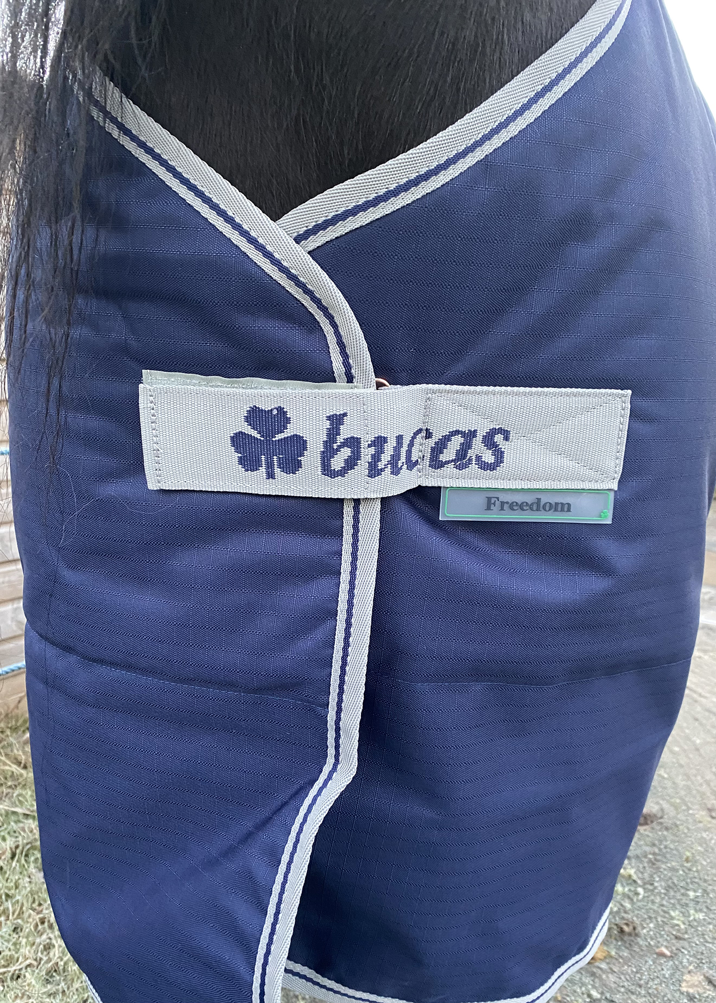 Bucas Freedom turnout