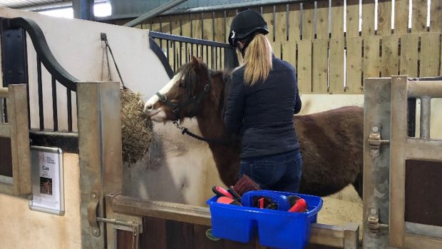 Exercise with Equines participant with pony Cas