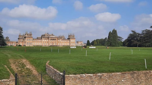 Four Blenheim Horse Trials officials received formal warnings, but will not be suspended following an incident in the CCI4*-S at the 2021 event.