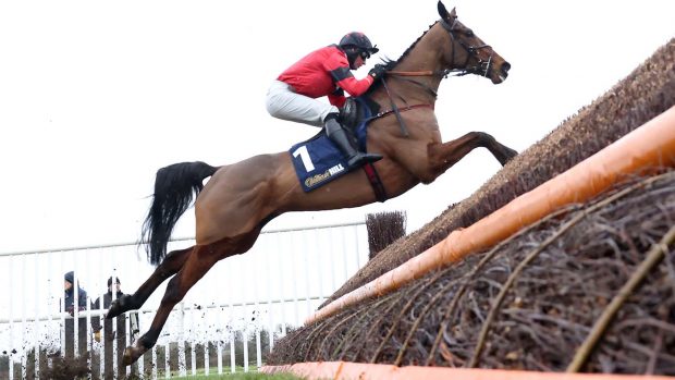 Cheltenham Festival one to watch: Ahoy Senor winning at Wetherby