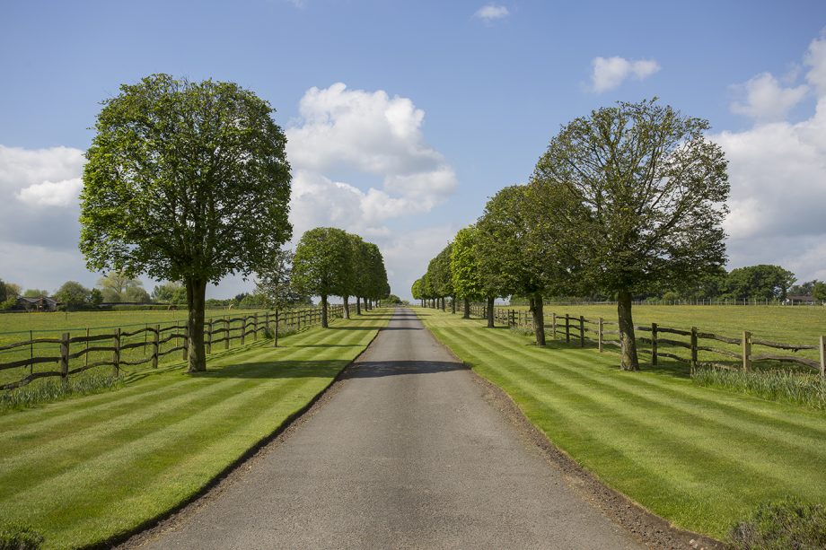 Guess the price tag on this estate complete with 26 loose boxes, 100 acres, eight bedroom