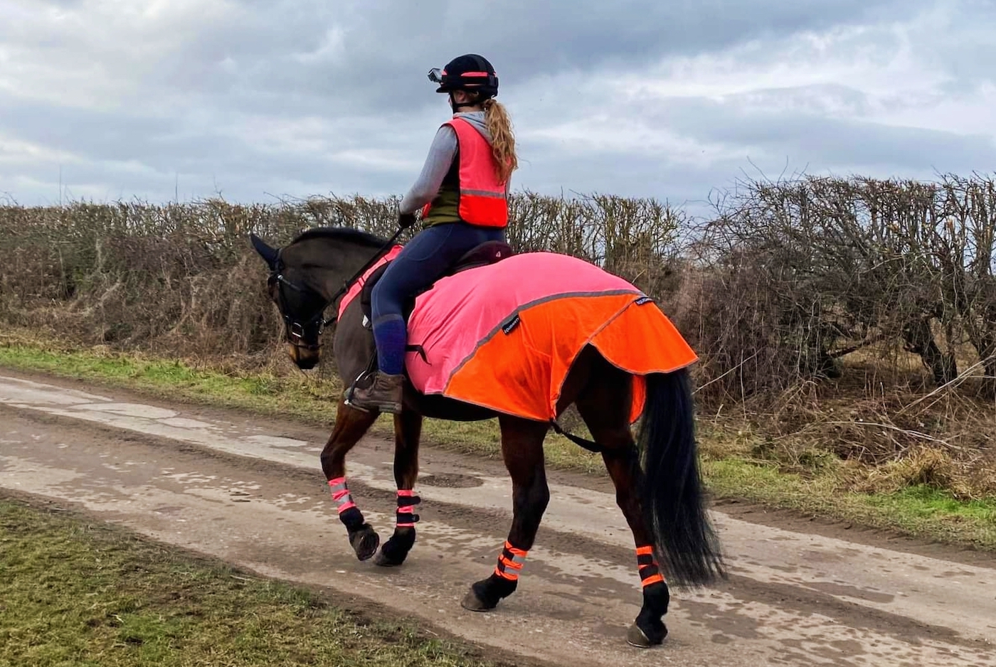 Thanking and educating drivers and high-vis key to equestrian road ...