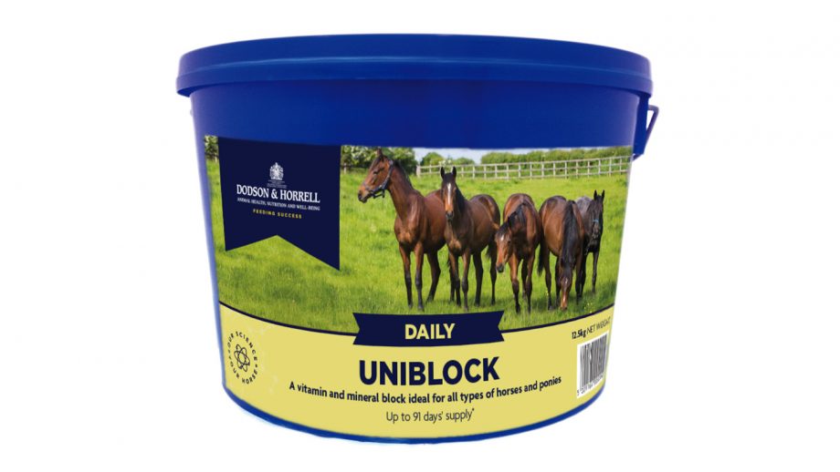 Best salt licks for horses flavoured, Himalayan and field Horse & Hound