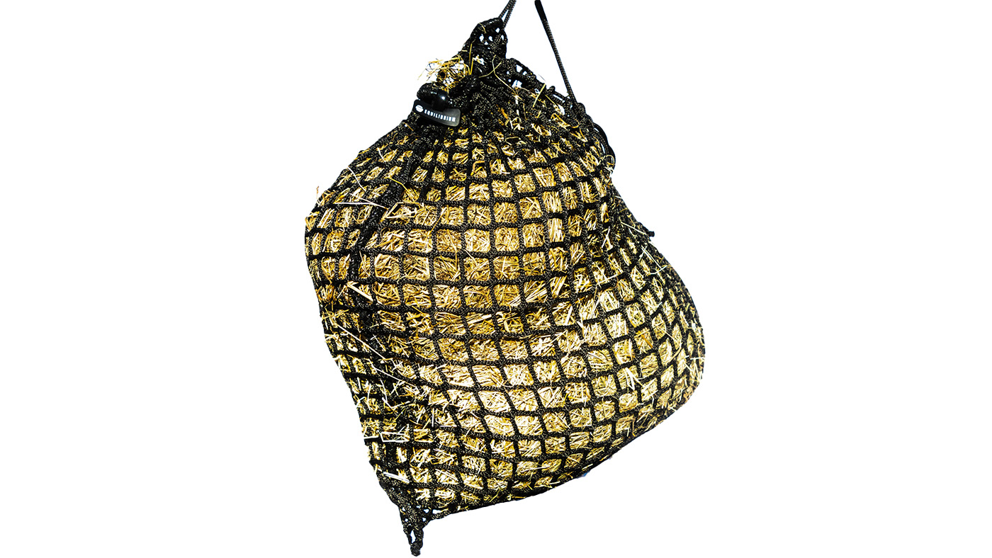 Equilibrium Portion Pacer Slow Feeder Haynet