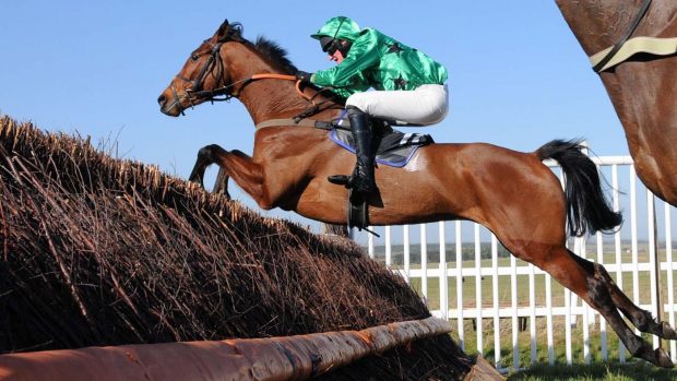 Far From Over, Zac Baker (1st) Maiden 5yo&up Div1