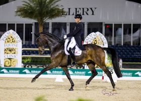 Frederic Wandres riding Bluetooth OLD to a grand prix win at the Winter Equestrian Festival