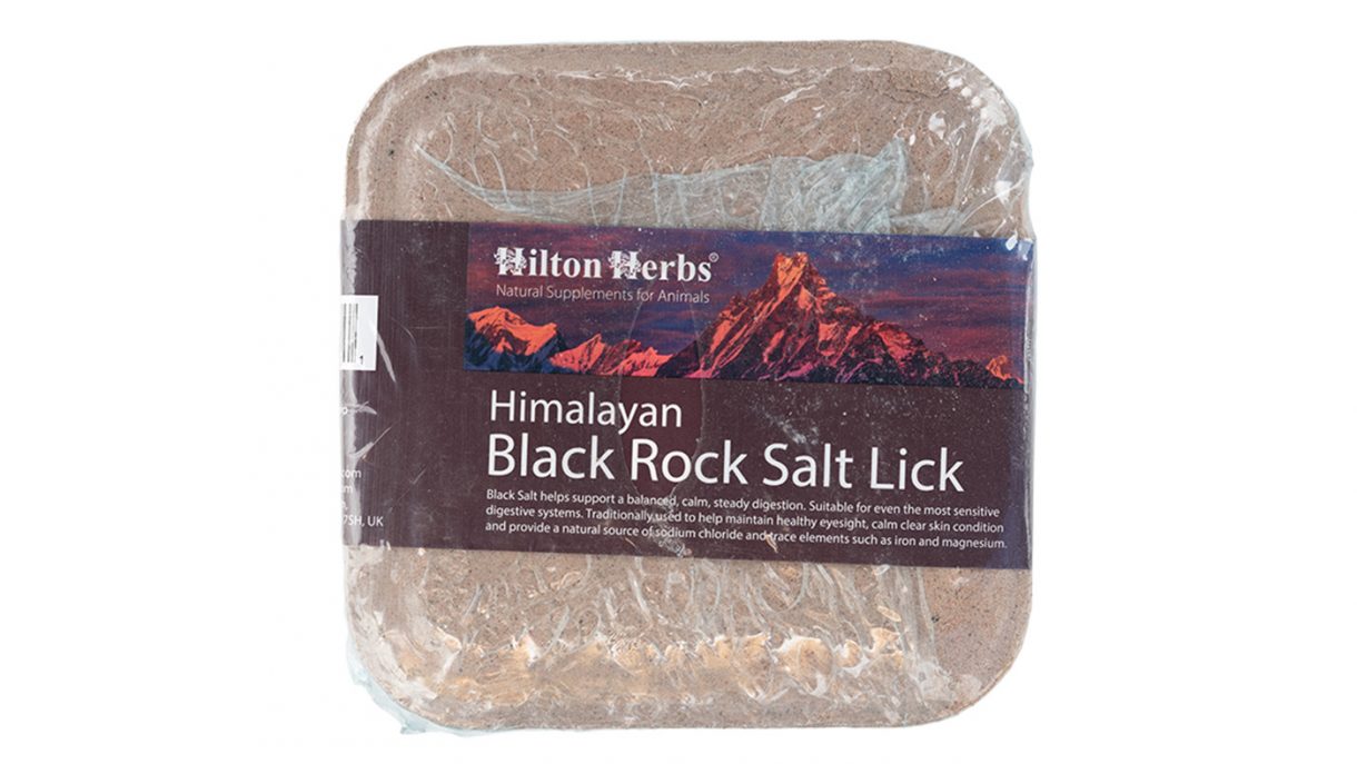 Best salt licks for horses flavoured, Himalayan and field Horse & Hound