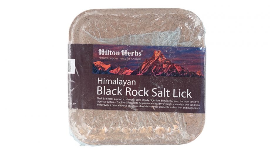 Best salt licks for horses flavoured, Himalayan and field Horse & Hound
