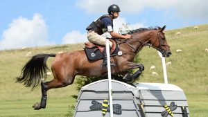 Astier Nicolas riding Quickly Du Buguet at Barbury in 2014