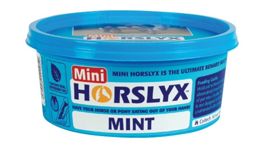 Best salt licks for horses flavoured, Himalayan and field Horse & Hound