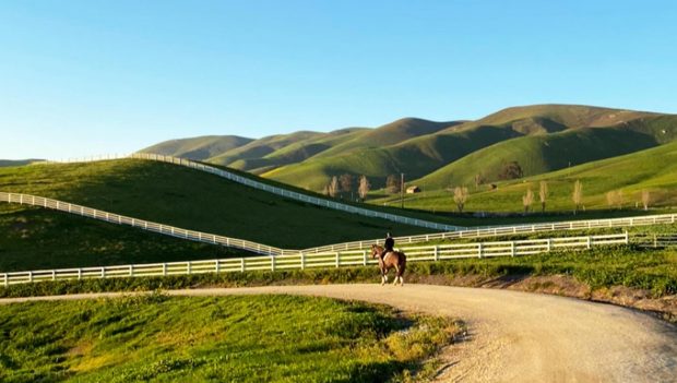 Joanna Thurman-Baker blog