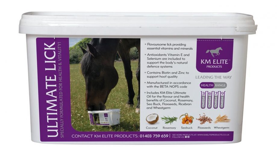 Best salt licks for horses flavoured, Himalayan and field Horse & Hound