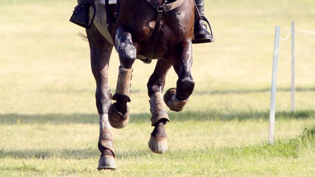 Air vests are recommended for cross-country in FEI rules for the first time in 2022