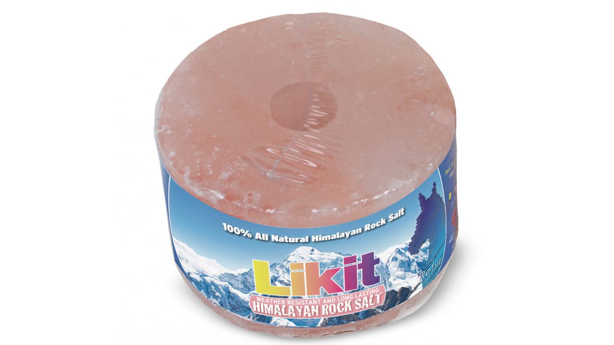 Best salt licks for horses flavoured, Himalayan and field Horse & Hound