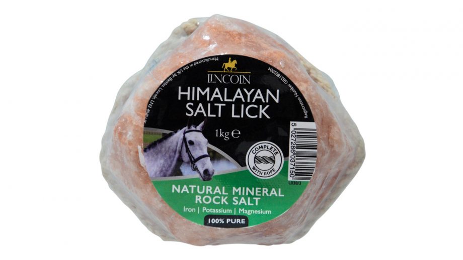 Best salt licks for horses flavoured, Himalayan and field Horse & Hound