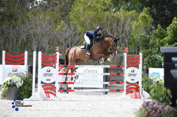 This year's Hall of Fame inductee Beezie Madden is still competing - pictured at the Winter Equestrian Festival this season
