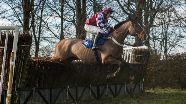 Club Members Conditions Race-Image no.6725-“Mr Love” owned by Nic & Ella Pearce, trained by Nic Pearce & ridden by M Dodd