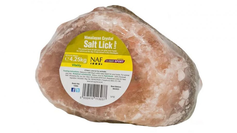 Best salt licks for horses flavoured, Himalayan and field Horse & Hound