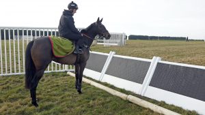 Equine vision: markers on fences and hurdles are changing from orange to white at British racecourses