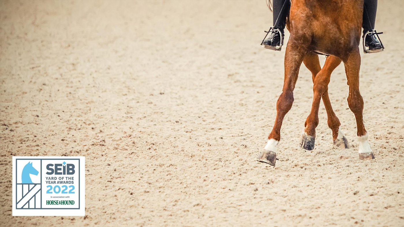 SEIB-Yard-of-the-Year-Image-2