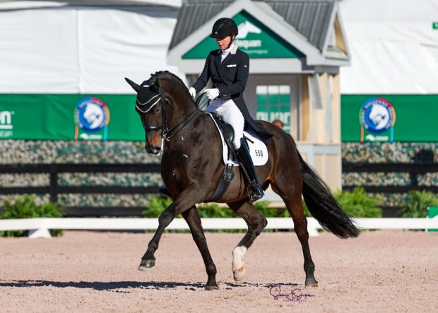 British rider Susan Pape and Harmony's Eclectisch compete tonight in the Grand Prix in the Winter Equestrian Festival at Wellington