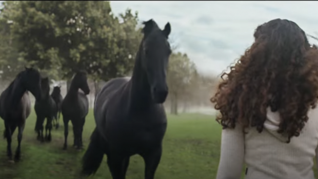 Lloyds Bank advert ‘Drumbeat’: the black horses are galloping through the suburbs in the banks latest advertising campaign