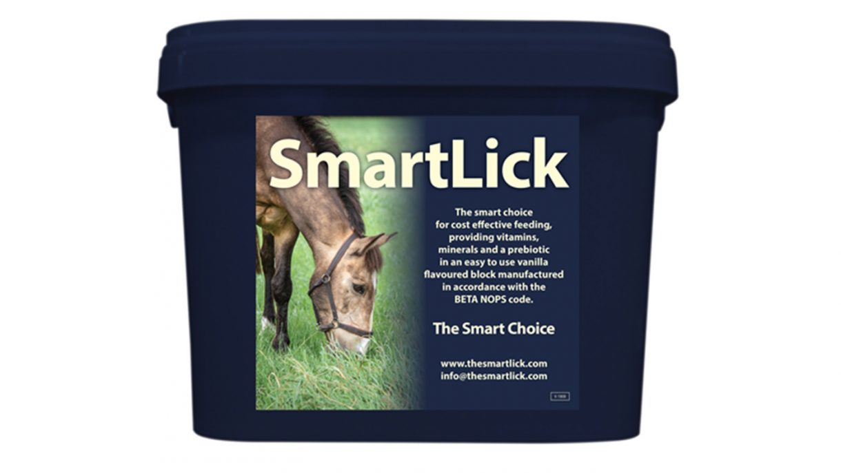 Best salt licks for horses flavoured, Himalayan and field Horse & Hound