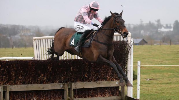 TOM CODY and John Dawson win the 2m4f Maiden at Berwickshire Hunt Point-To-Point , Friars Haugh Kelso 13/2/22 Photo by Marcia Thompson -GROSSICK RACING The Steadings Rockhallhead Collin DG1 4JW 07710461723 www.grossick.co.uk JOHN GROSSICK