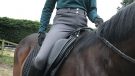 LeMieux Drytex Waterproof Breeches