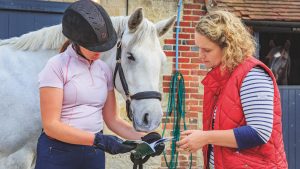 Pictured: a rider examining a horse passport.