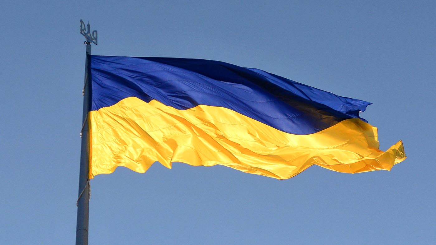 The need for more equine and humanitarian aid has grown more desperate organisations say