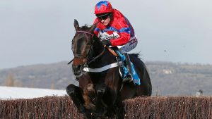 2CWTK5J Barry Geraghty on Sprinter Sacre jumps the final fence on his way to winning the Queen Mother Champion Chase at the Cheltenham Festival horse racing meet in Gloucestershire, western England March 13, 2013. REUTERS/Eddie Keogh (BRITAIN - Tags: SPORT HORSE RACING)