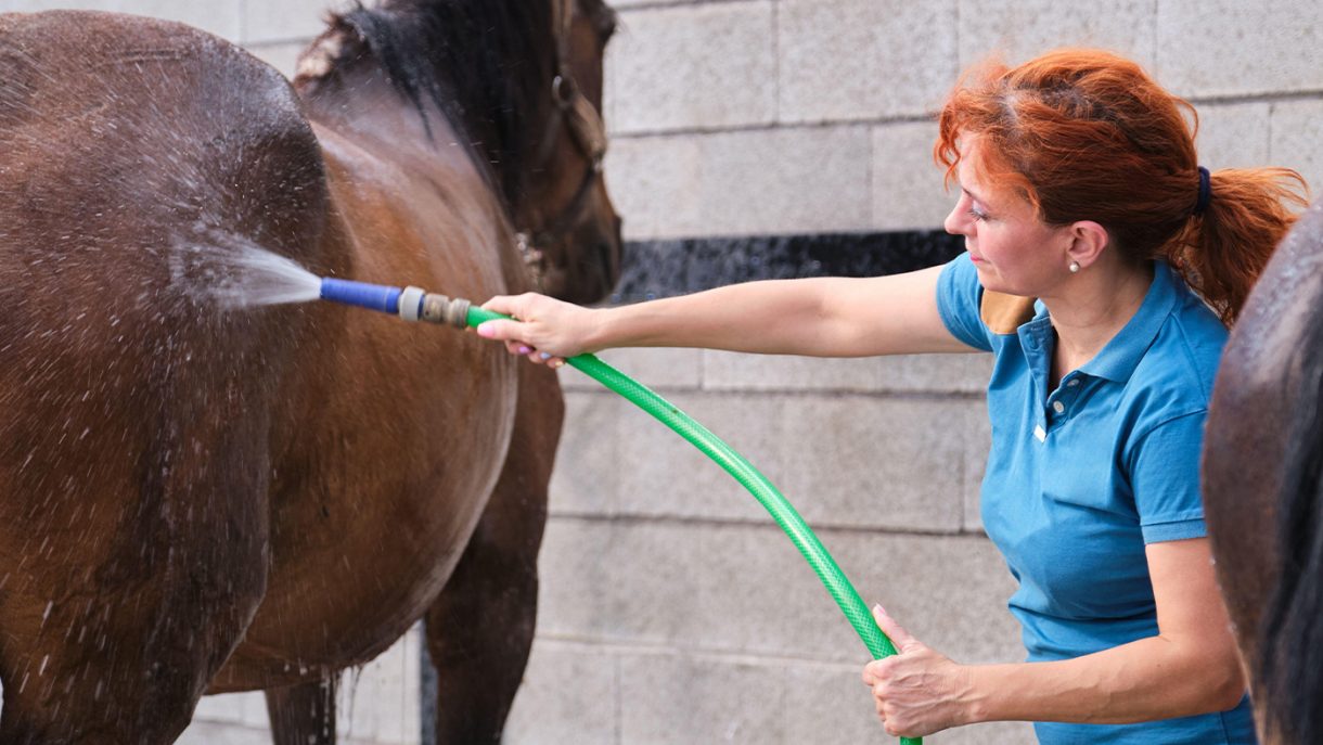 Shampoos for horses with sensitive skin Horse & Hound